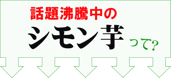 �b�蕦���̃V���������āH