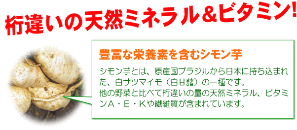 ���Ⴂ�̓V�R�~�l����&�r�^�~���I